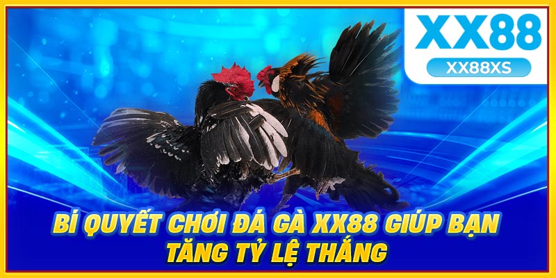 Bí quyết chơi đá gà XX88 giúp tăng tỷ lệ thắng