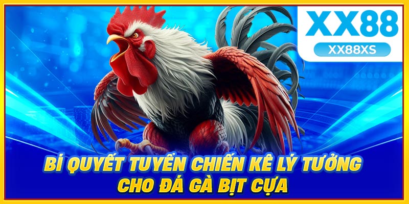 Luật chơi đá gà bịt cựa an toàn nhưng vẫn gây cấn