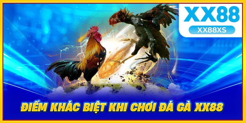 Điểm khác biệt khi chơi đá gà XX88