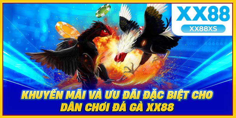 Khuyến mãi và ưu đãi đặc biệt cho dân chơi đá gà XX88