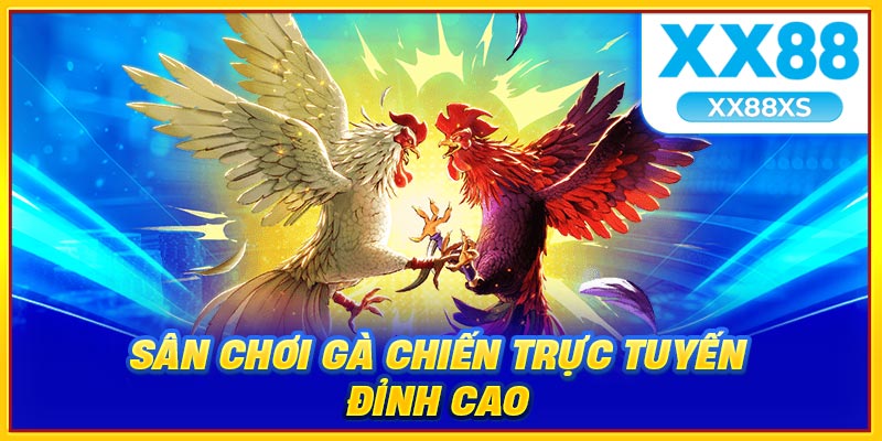Các sân chơi gà chiến trực tuyến đỉnh cao