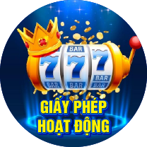 Giấy phép hoạt động