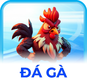 Đá gà xx88