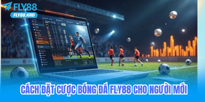 Cách đặt cược bóng đá fly88 cho người mới